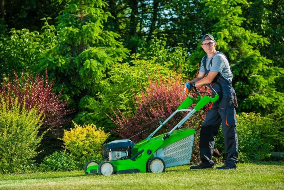 Transform Your Outdoor Space with Professional Commercial Lawn Care Services
